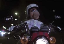 Hubo un tiempo en el que hasta Peggy “la cerdita” pilotaba motos 2T en sus películas