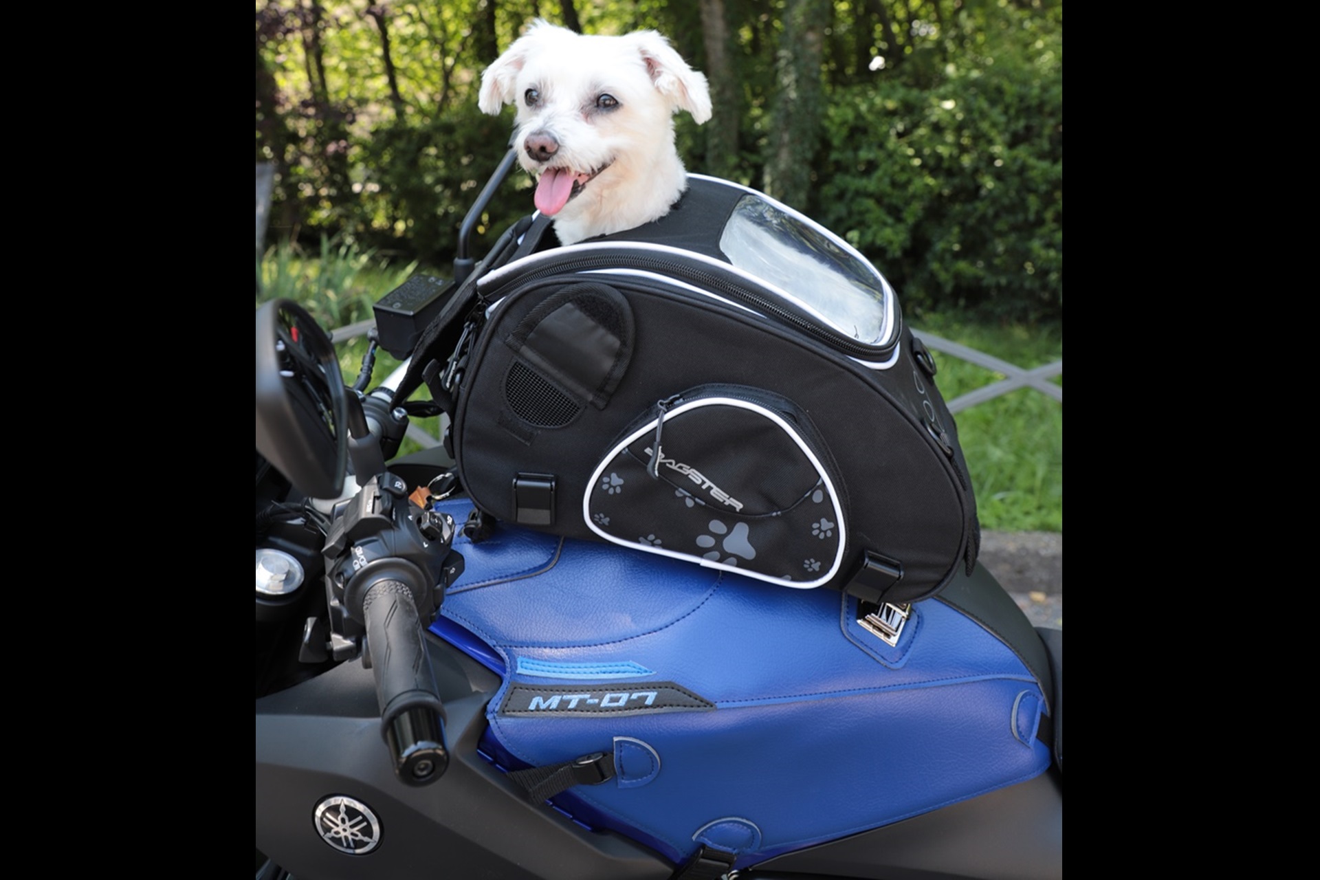 Bolsa de depósito Bagster Puppy: compartiendo la pasión de las motos con nuestro fiel compañero