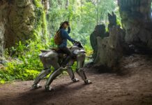 Nuevos detalles sobre Corleo, “el equino motorizado” de Kawasaki