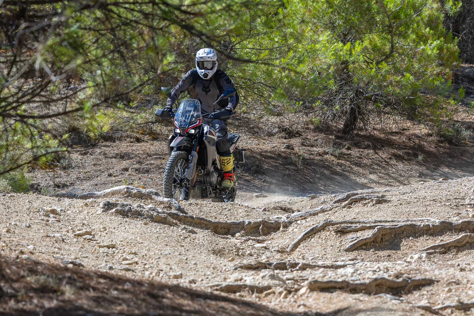 Comparativa: Moto Morini Alltrhike 450 Vs CFMOTO 450MT