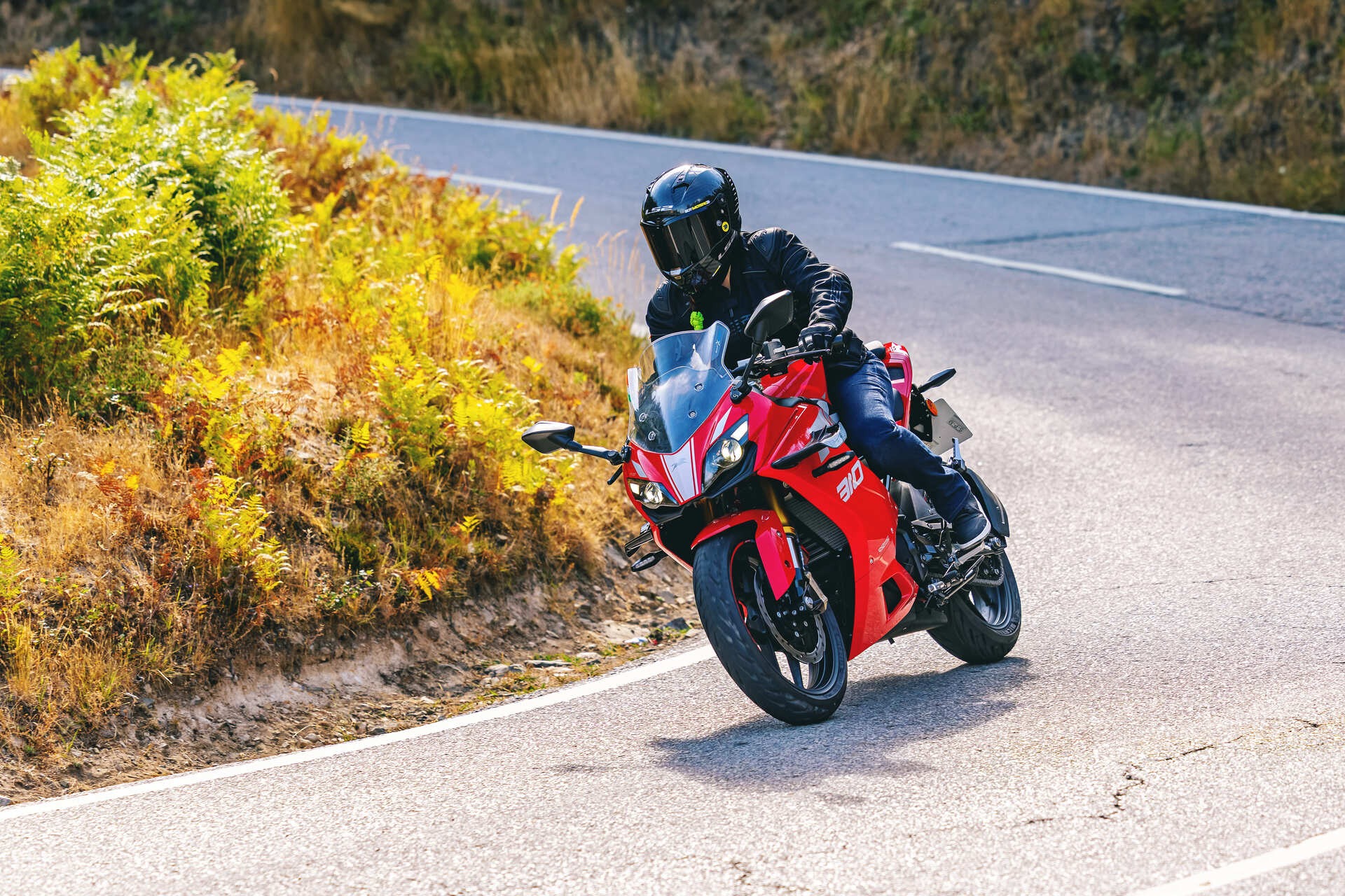 TVS RR 310 2026
