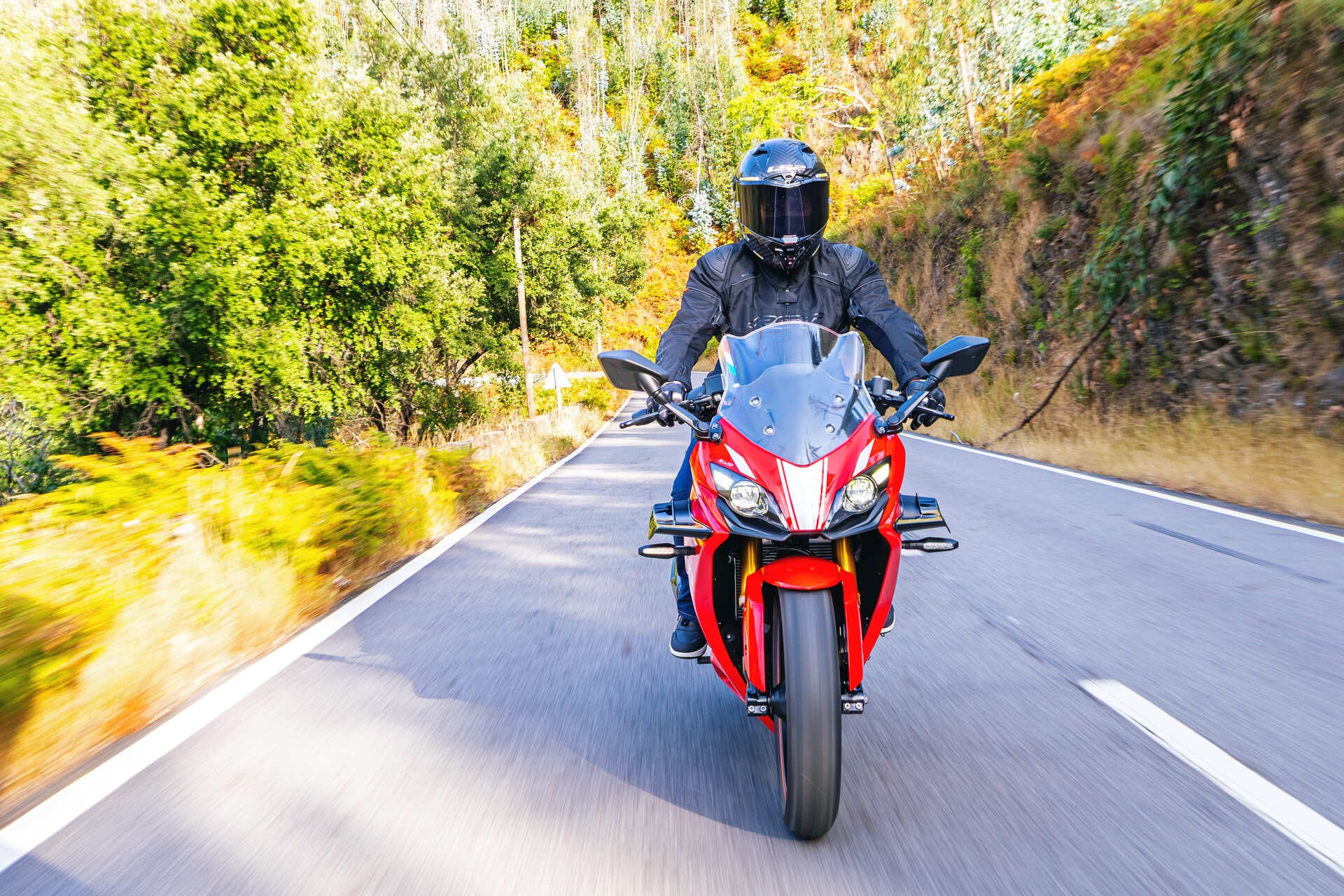 TVS RR 310 2026