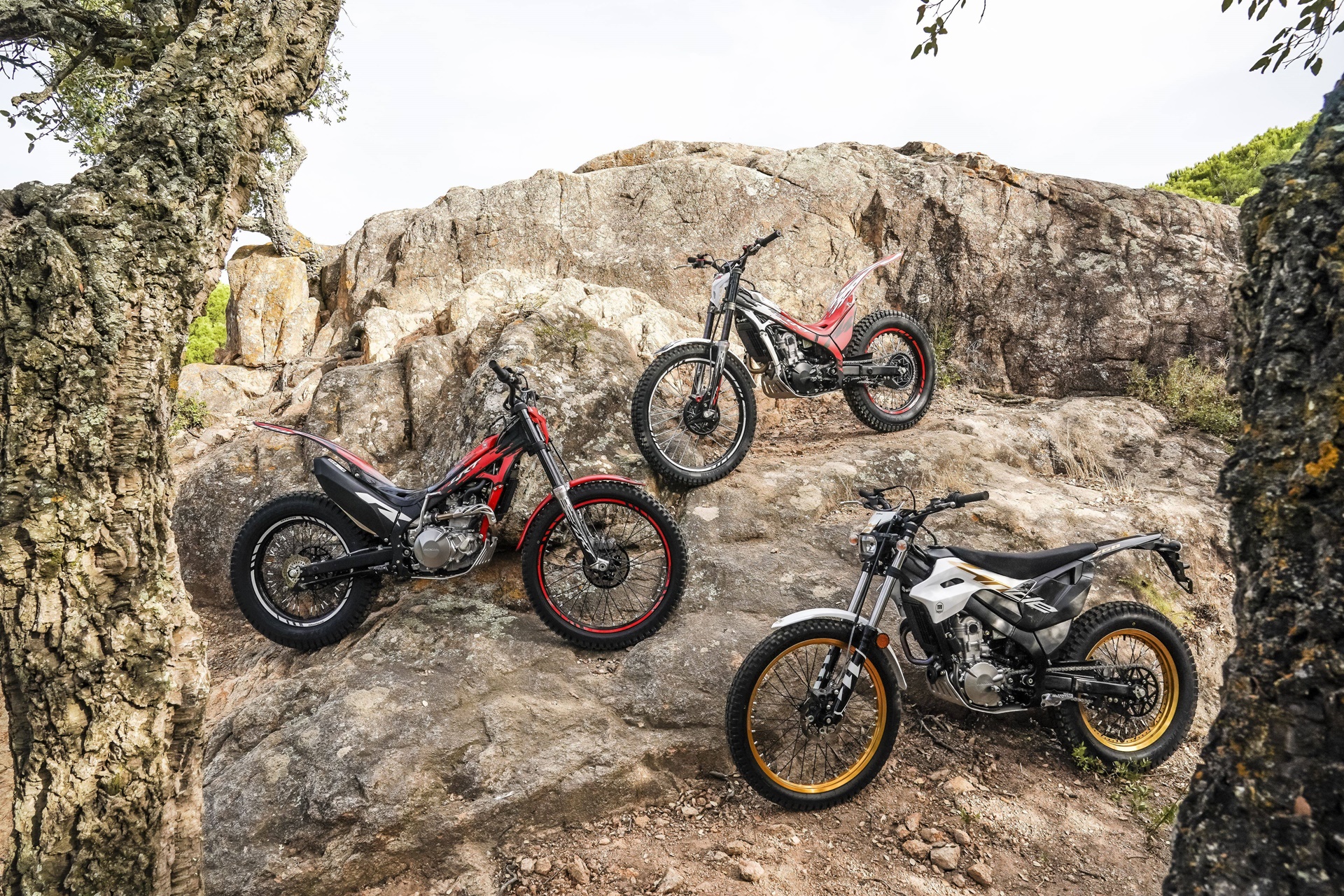 Montesa estrena nuevas decoraciones en su renovada gama 2027