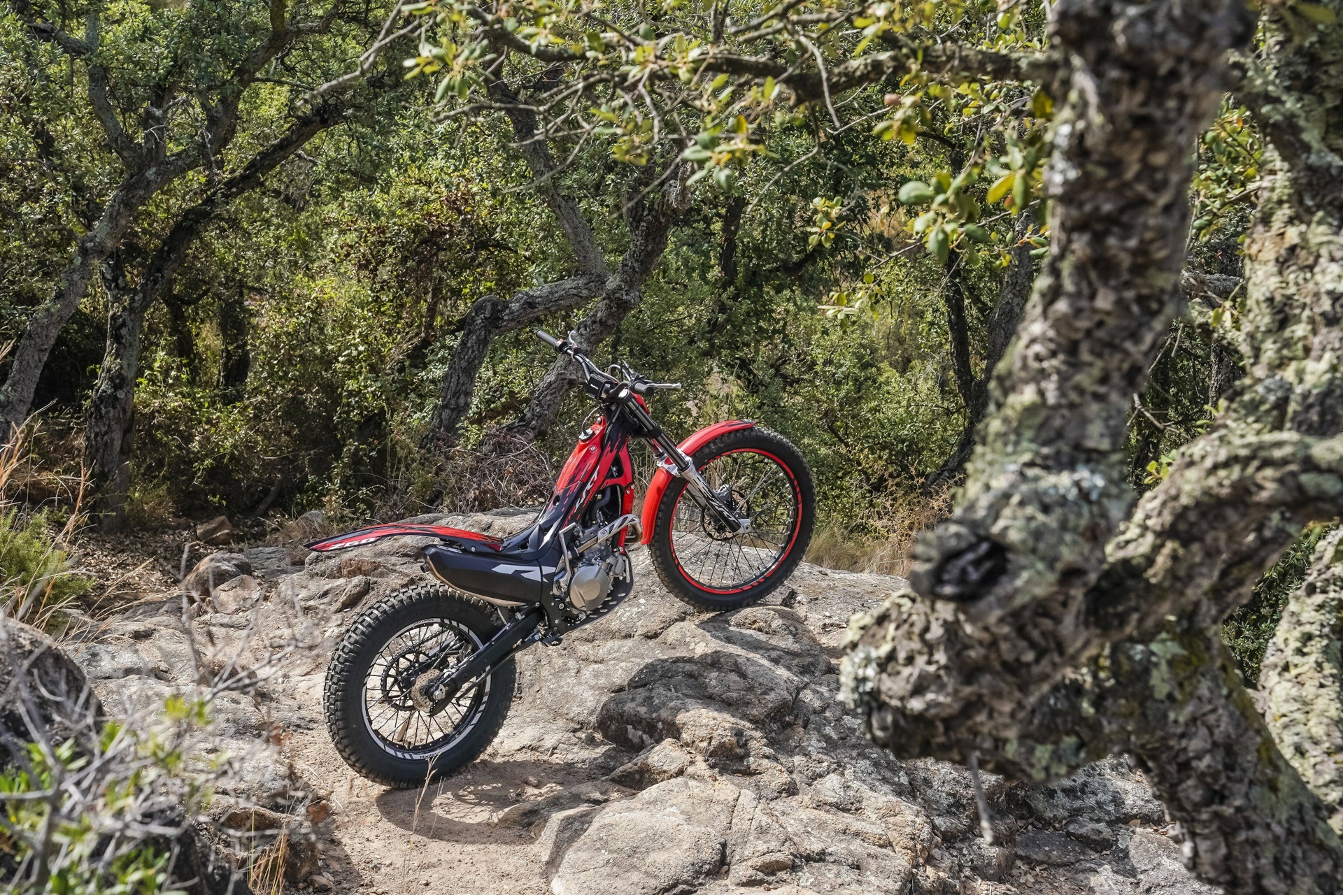 Montesa estrena nuevas decoraciones en su renovada gama 2027