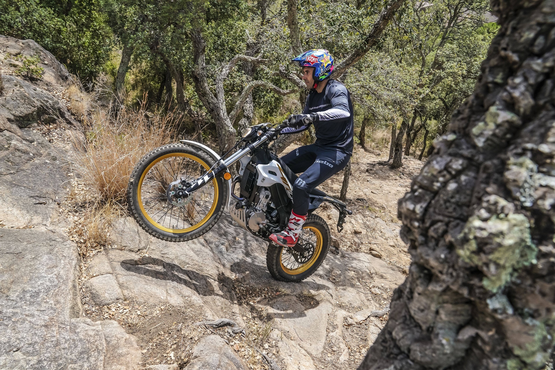 Montesa estrena nuevas decoraciones en su renovada gama 2027