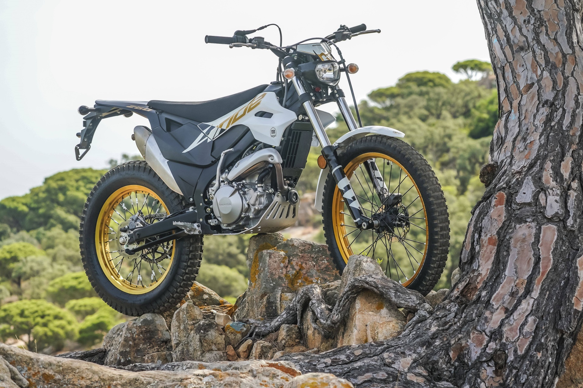 Montesa estrena nuevas decoraciones en su renovada gama 2027