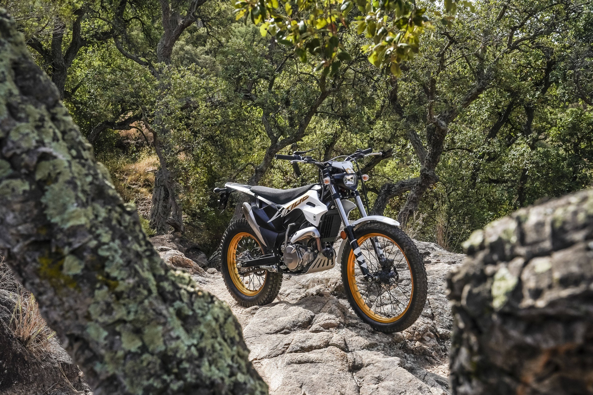 Montesa estrena nuevas decoraciones en su renovada gama 2027