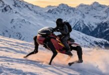 Si creías que Corleo era una excepción, atento al nuevo DaxAI Qiji, el “equino robótico made in China”
