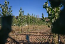 Representantes de la RFME visitan Teruel para conocer el proyecto medioambiental Bajo Cer0² vinculado a la Baja Aragón