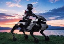 Si creías que Corleo era una excepción, atento al nuevo DaxAI Qiji, el “equino robótico made in China”