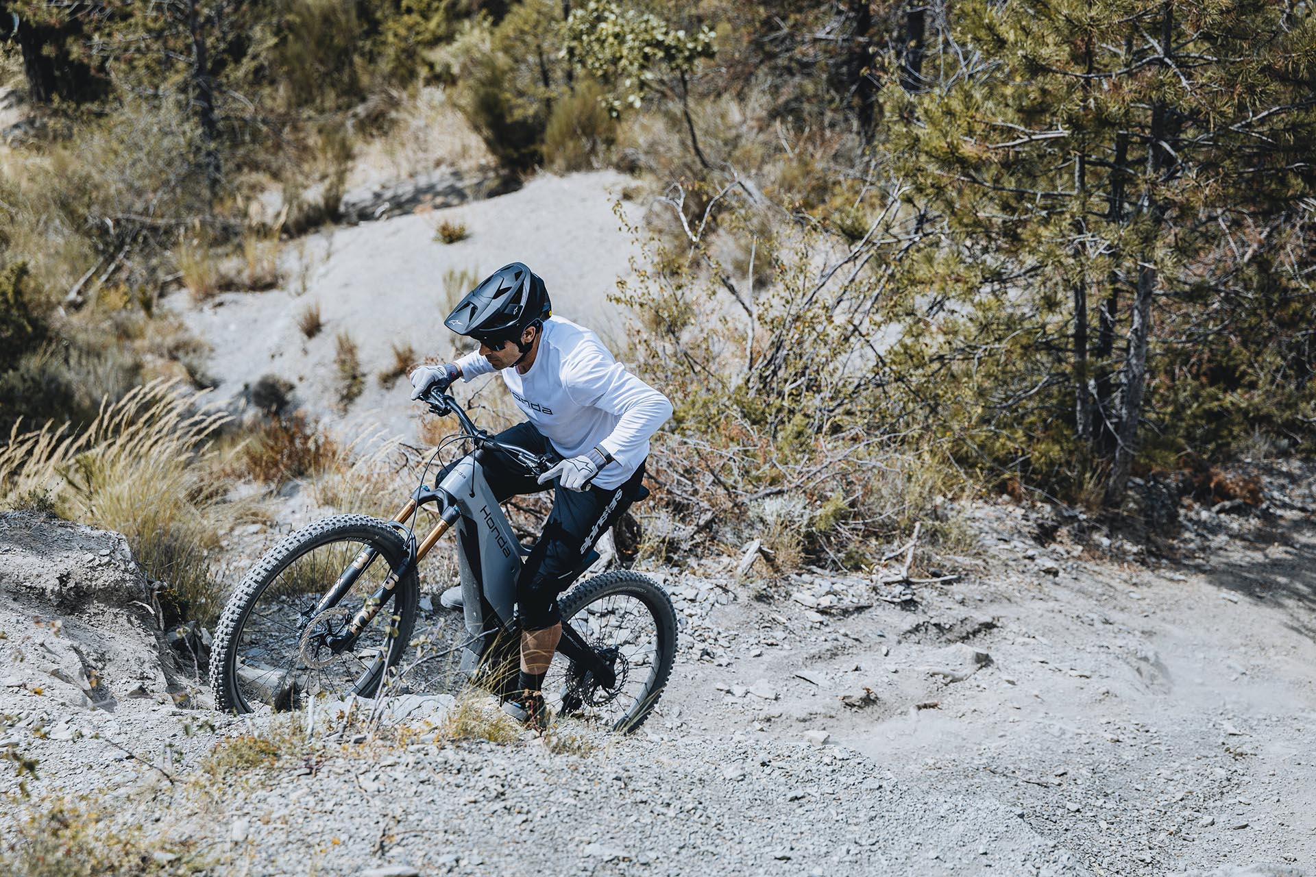 Honda da una pedalada a la electrificación