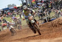 El año de Triumph ha sido excepcional
