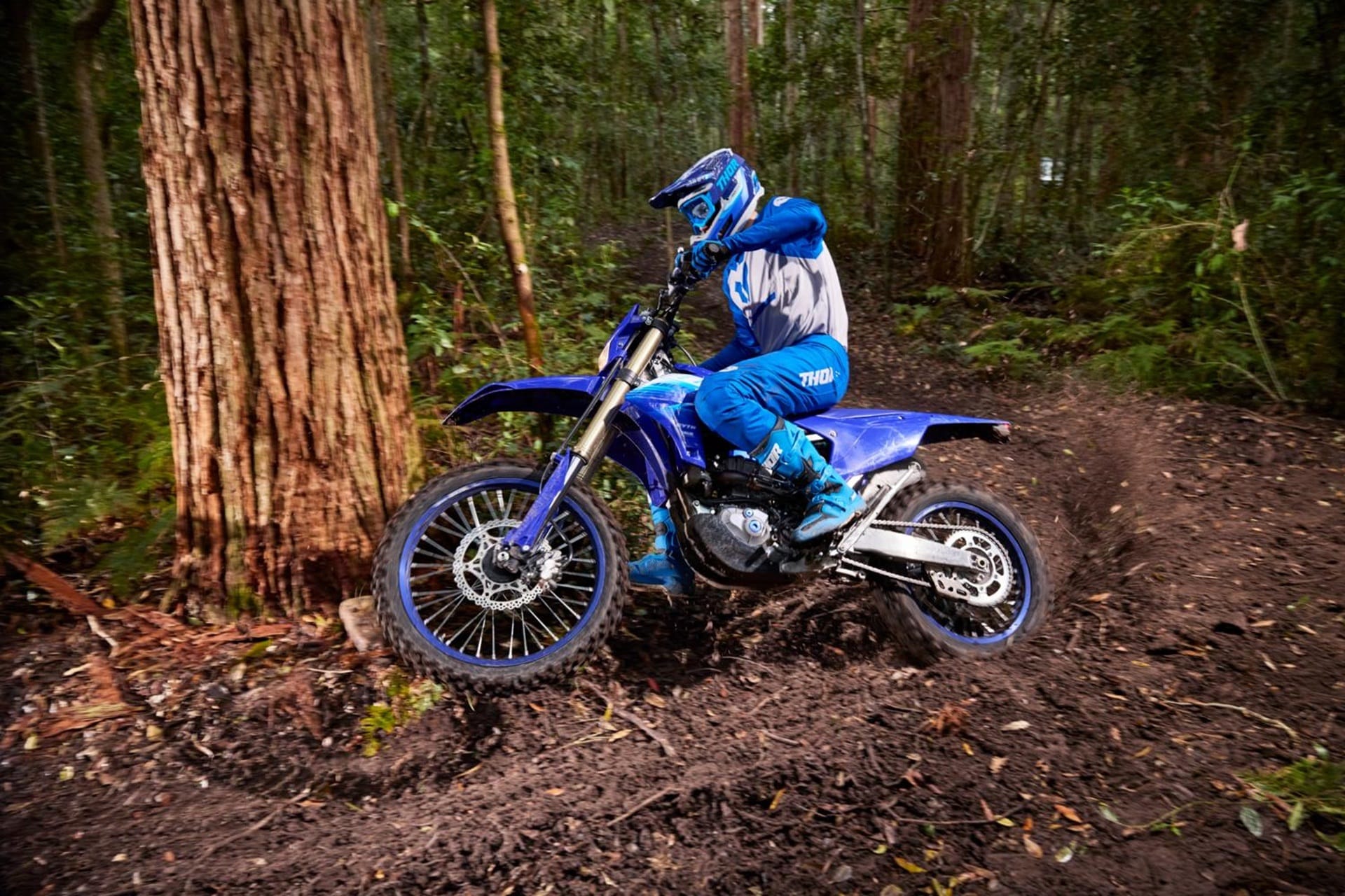 Gama Yamaha 2027: espíritu heritage a la vanguardia del rendimiento