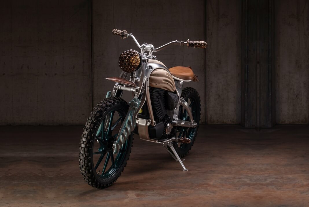 Mattia Biagi presenta “Motototem”, la Flying Flea C6 concebida desde una perspectiva artística