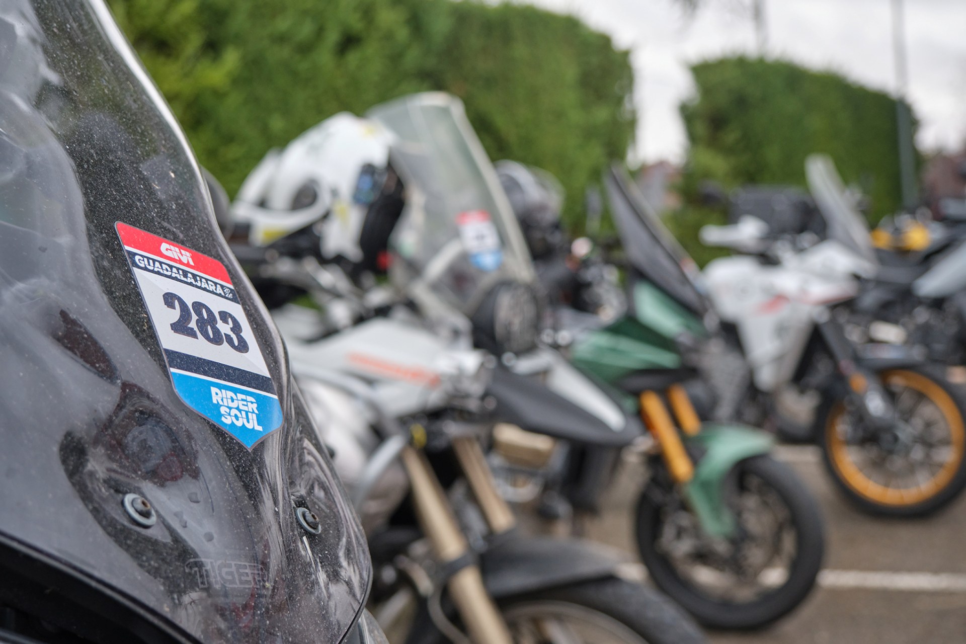 Rider Soul deja Guadalajara y prepara su próxima ruta por todo lo alto en Albaida, Valencia