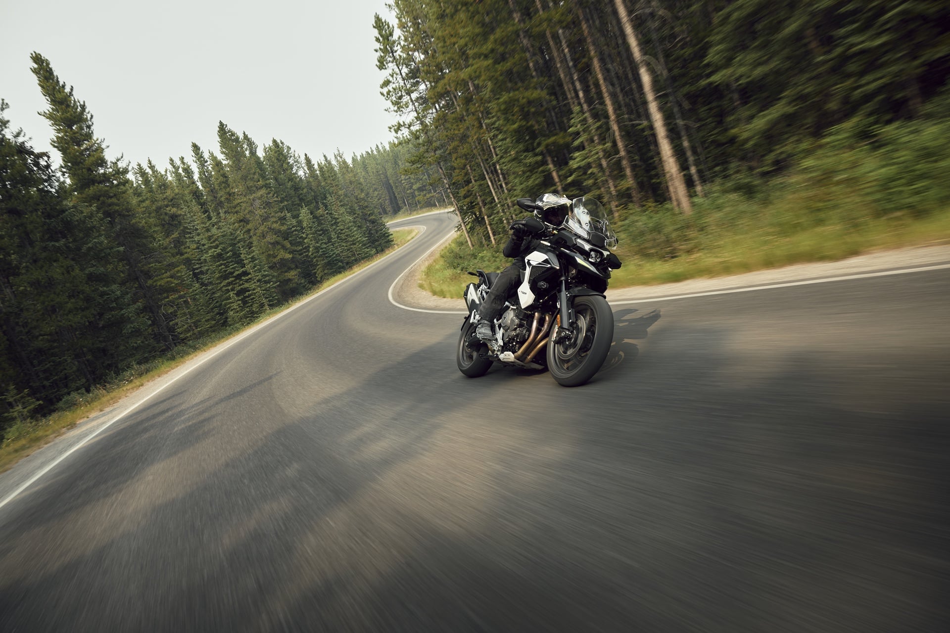 Triumph Tiger 1200 2027