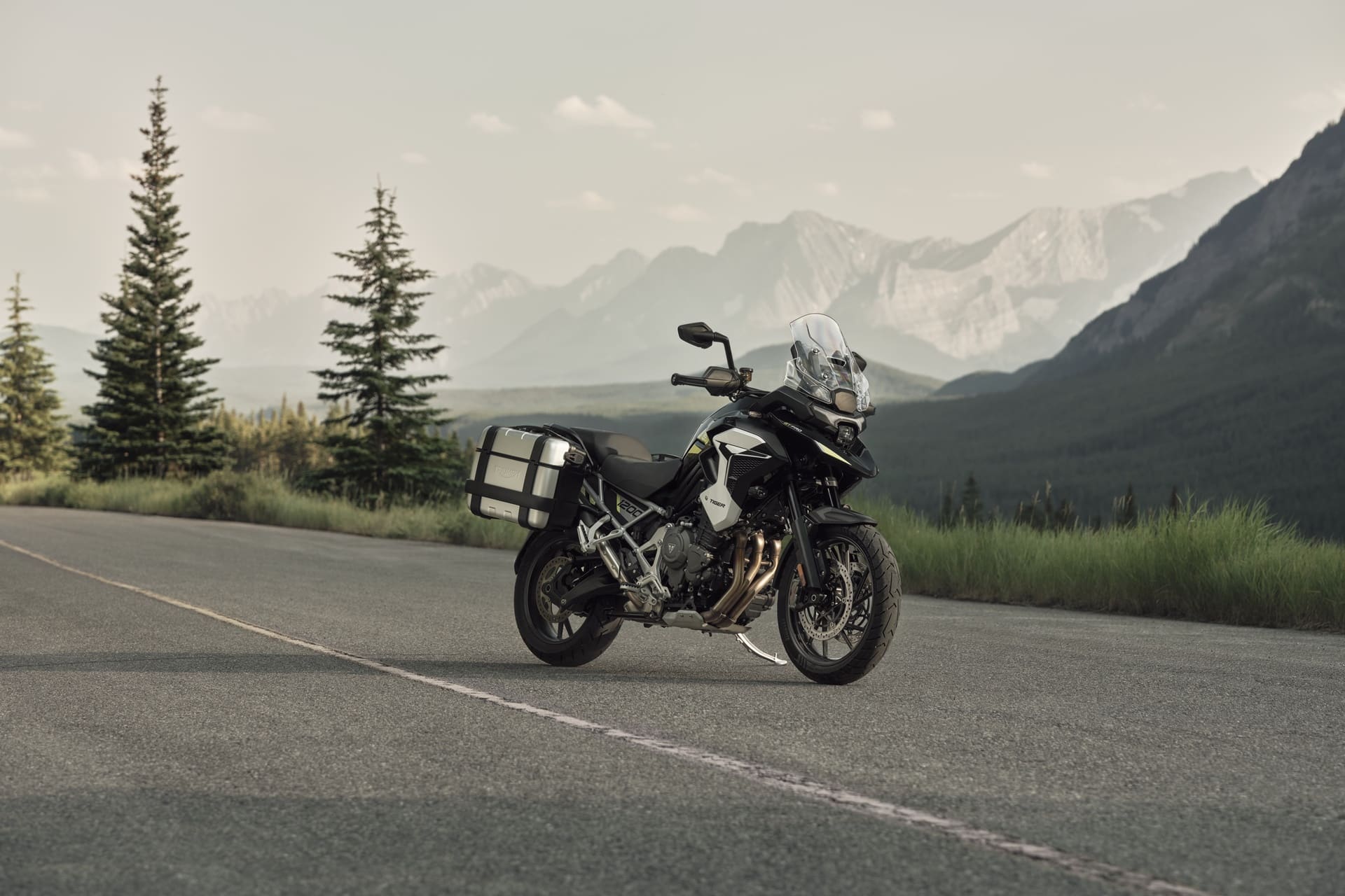 Triumph Tiger 1200 2027