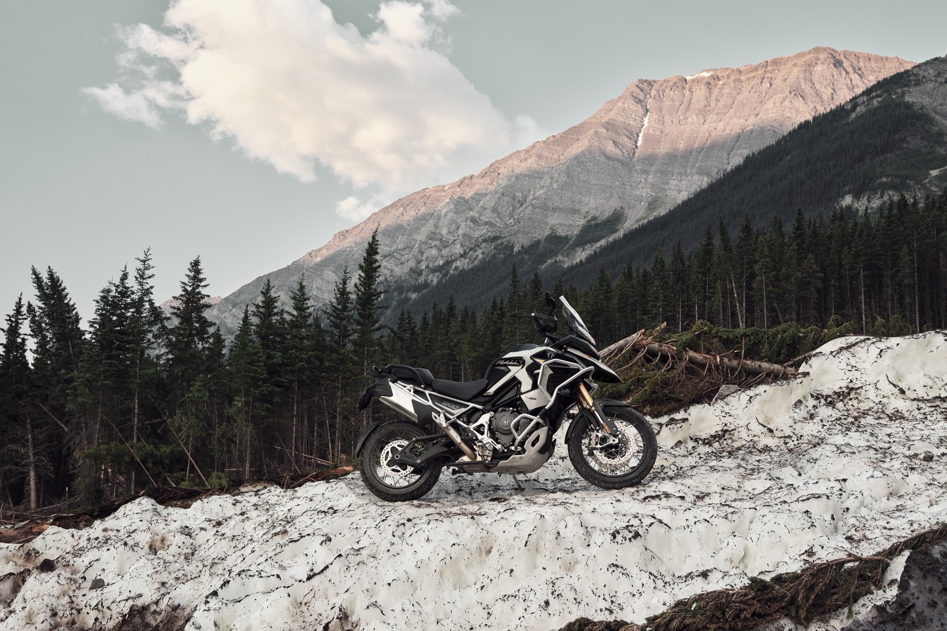 Triumph Tiger 1200 2027