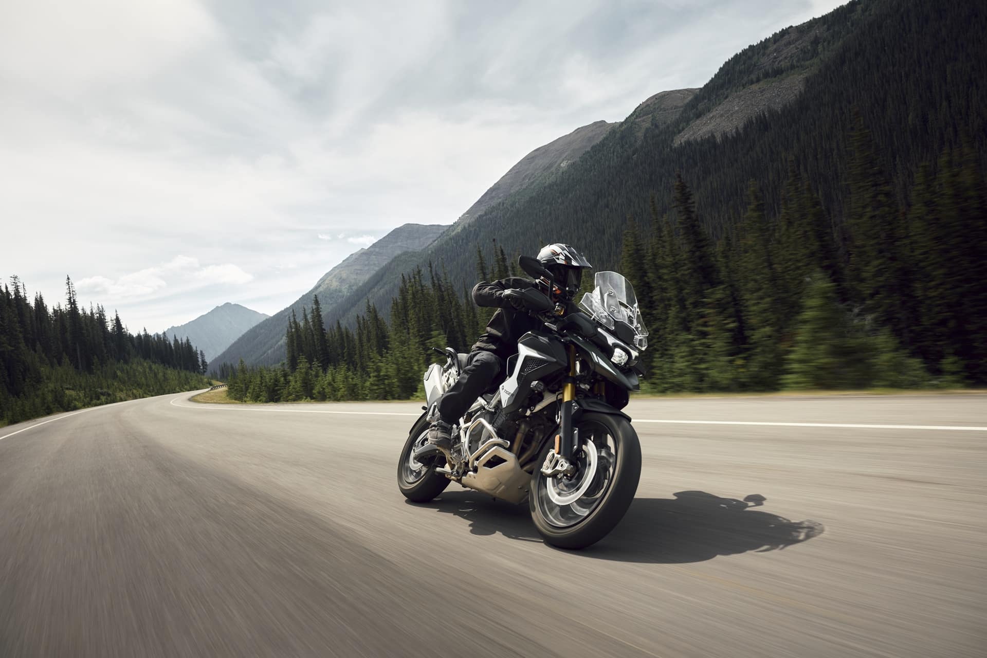 Triumph Tiger 1200 2027