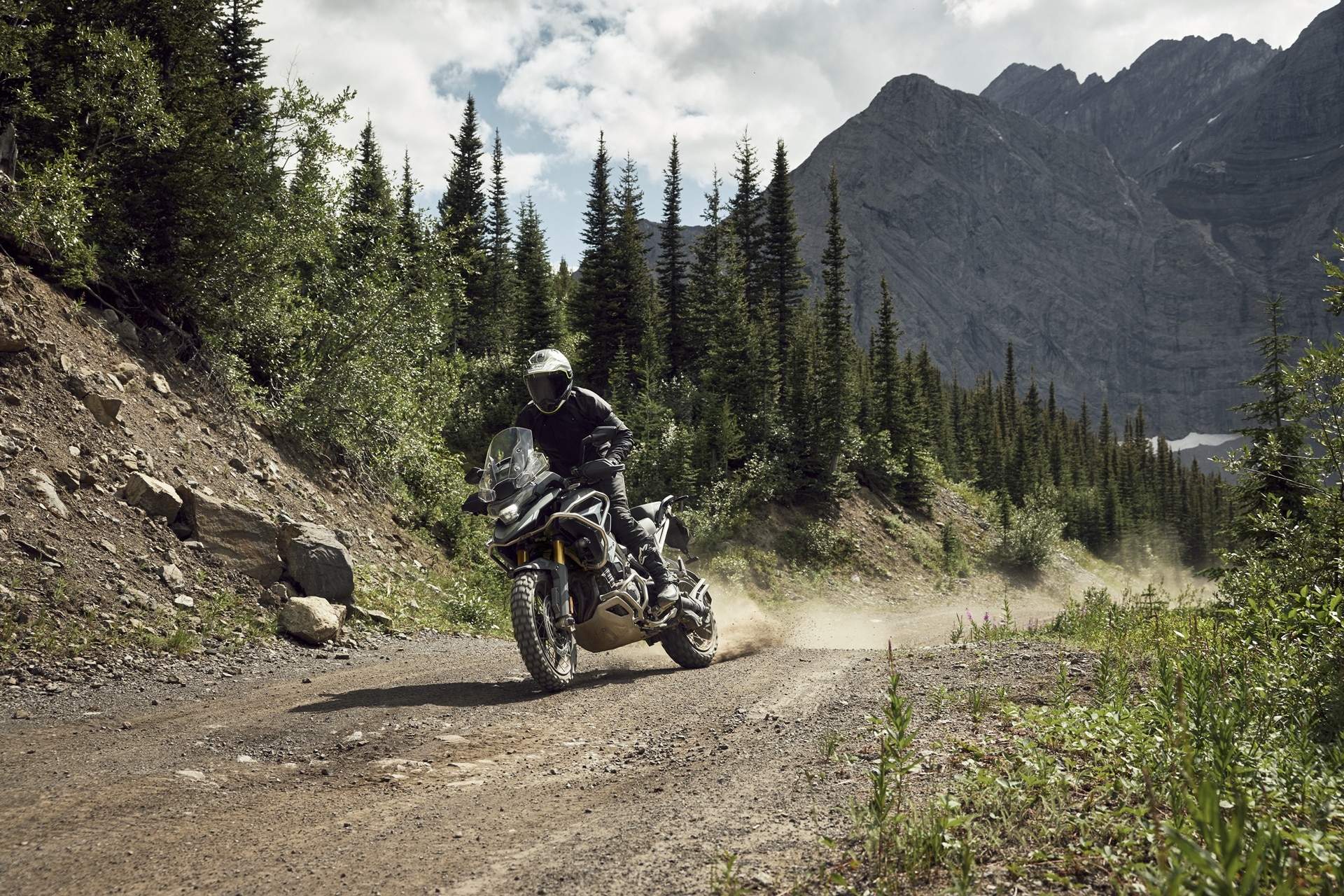 Triumph Tiger 1200 2027