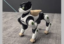 Kawasaki se pasa al sector sanitario con “Home LEO”, el robot diseñado para asistir a la 3ª edad
