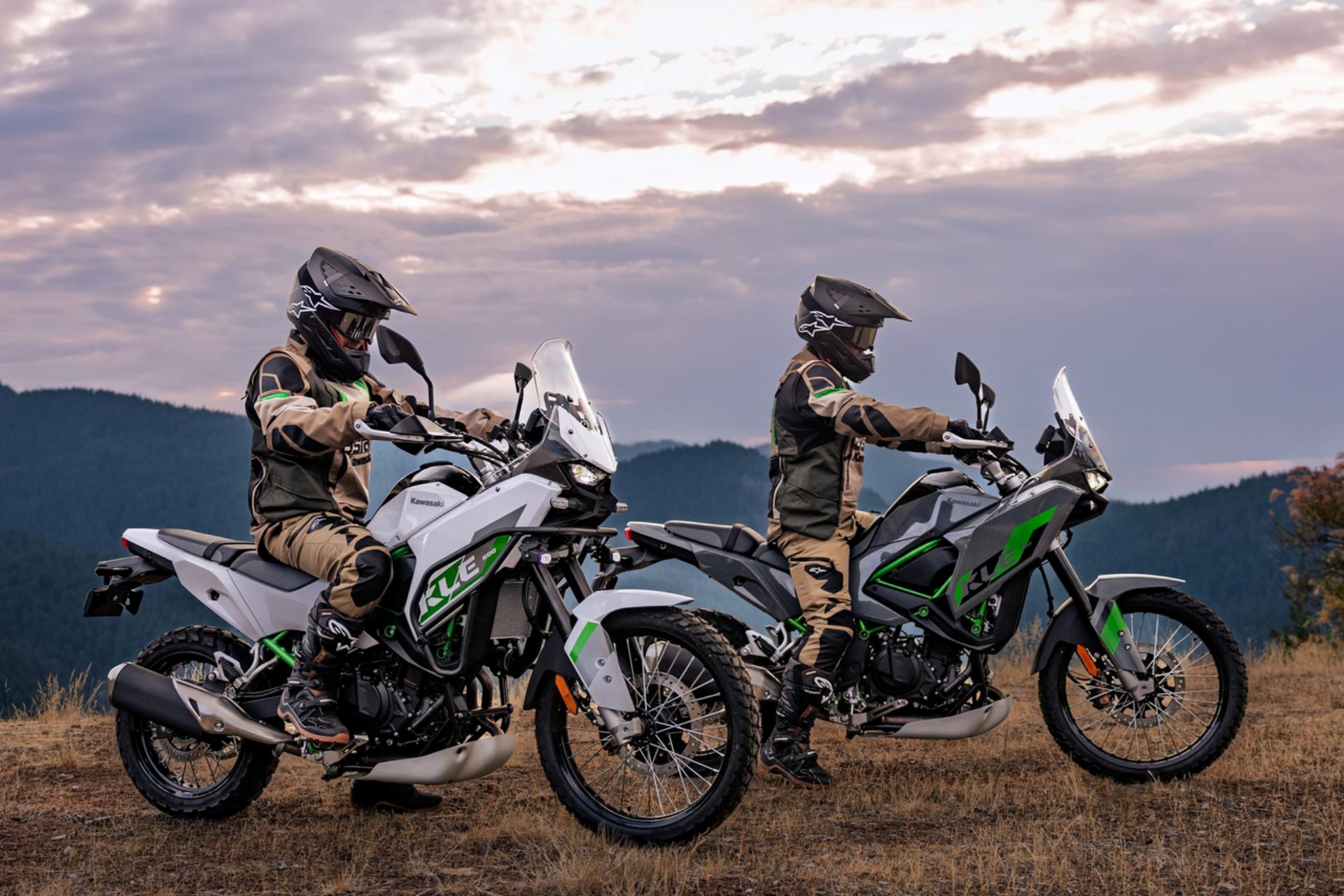 Kawasaki KLE500 KLE650