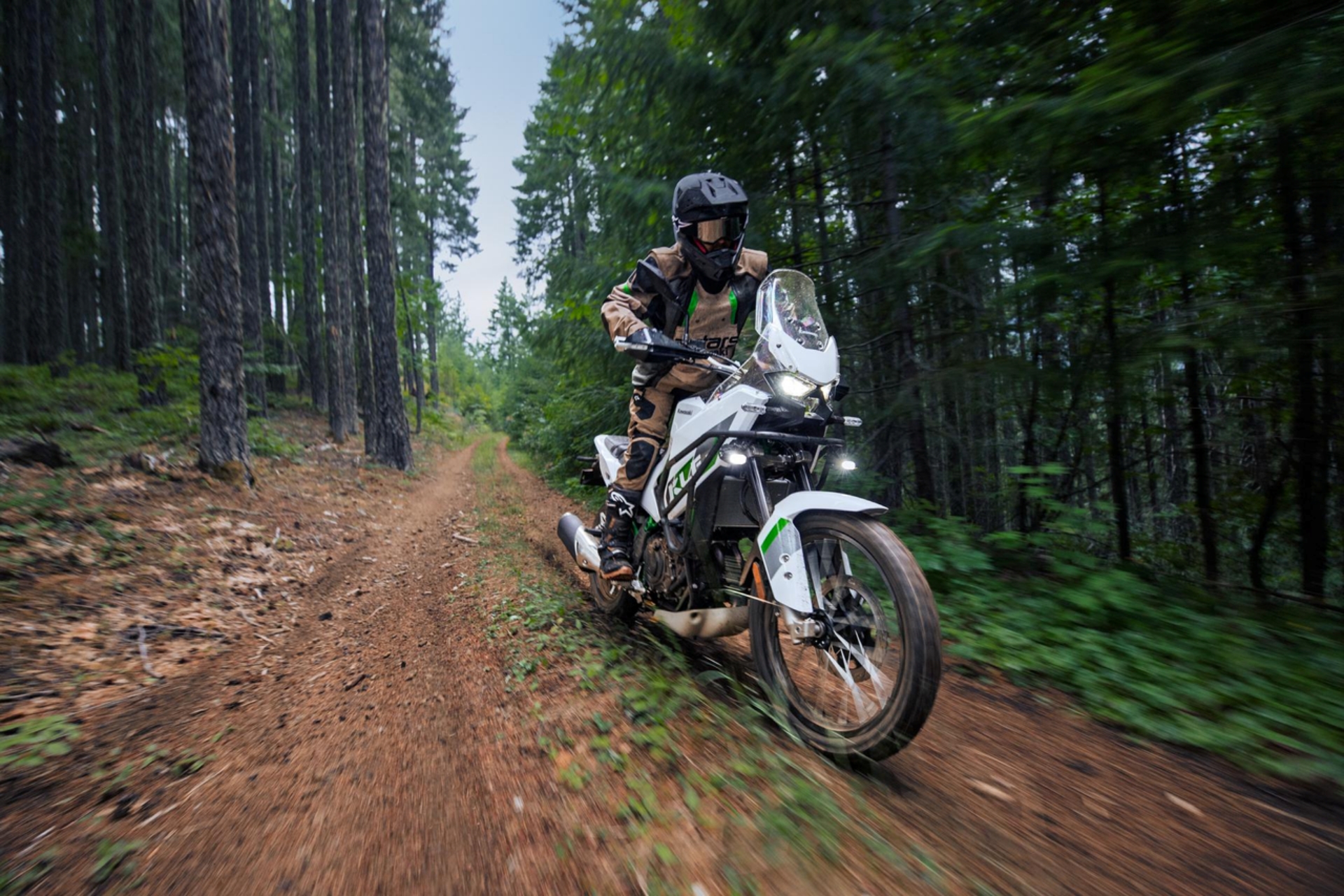 Kawasaki KLE500 KLE650
